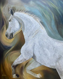 The Rise-1