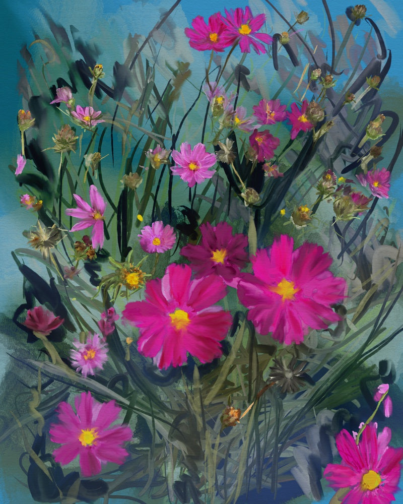September Cosmos | helloart