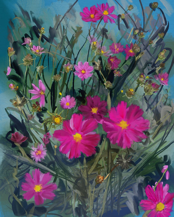 September Cosmos