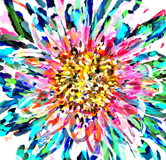 Fireworks Floral