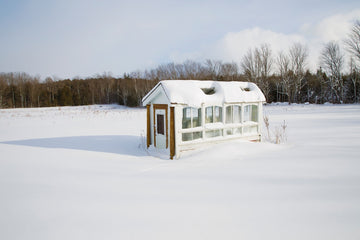 White Greenhouse