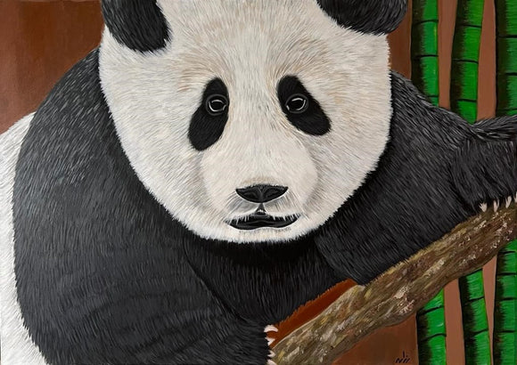 Lazy Panda
