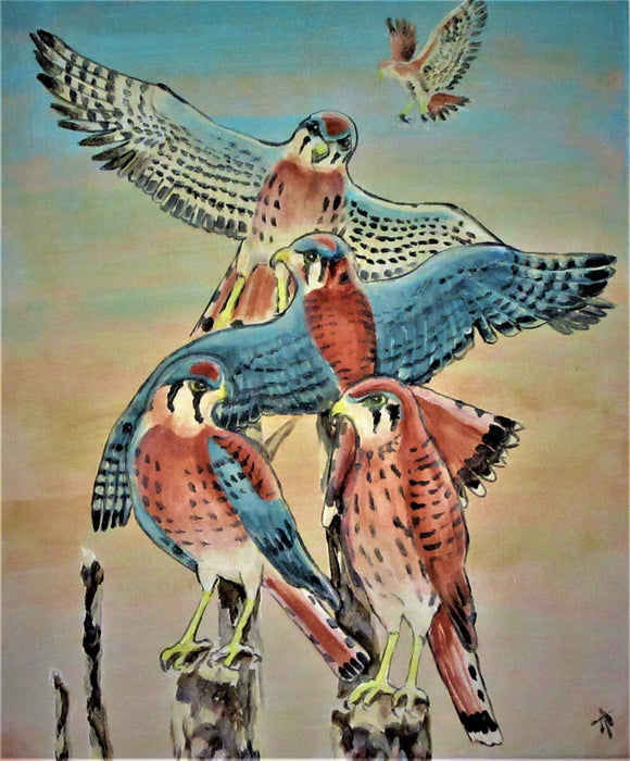 American Kestrel I