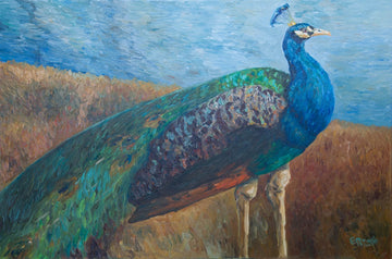 King Peacock
