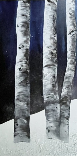 Benighted Snow
