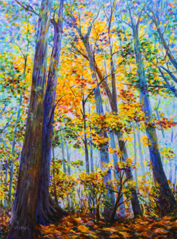 Walk in the Woods