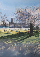 Cherry Blossom-1