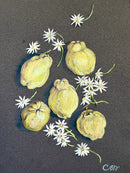 Quinces and Daisies-1
