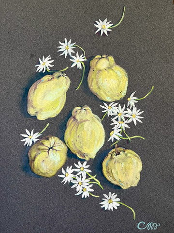 Quinces and Daisies