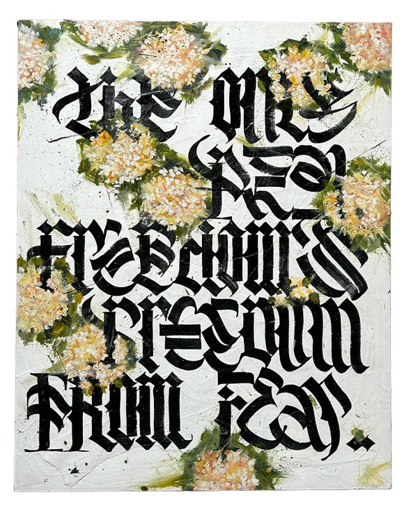 Freedom 2.2