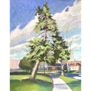 The Old General of Woodvalley-2
