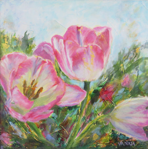 Blushing Tulips