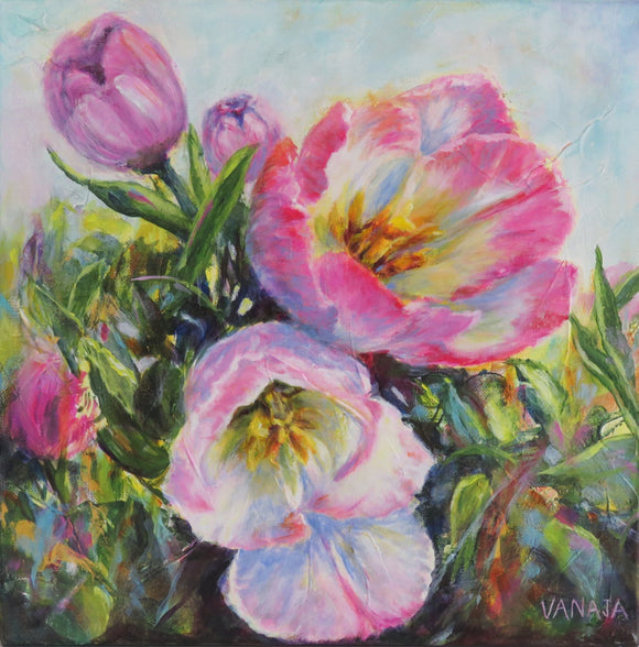 Tulip Blooms
