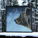 Snow Bear-2