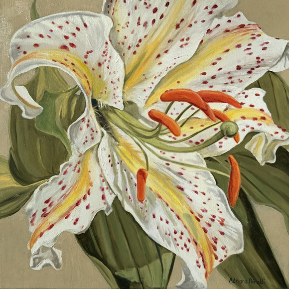 A Delicate Display