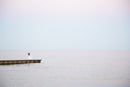 Salute to nature-1