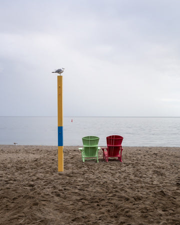 Seagull and two beach chairs