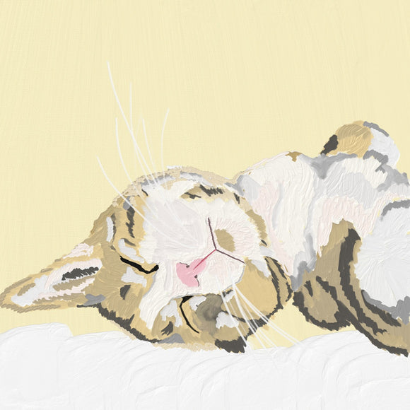 Ari’s Quiet Slumber