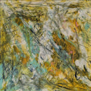 "WETLANDS"-1