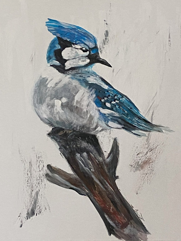 Blue Jay