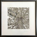 "Graceful Giant"-1