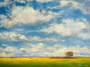 Landscape study-1