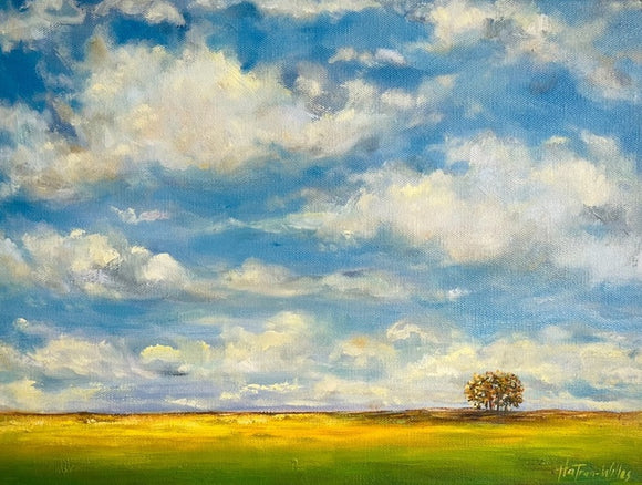Landscape study
