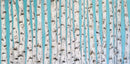 White Birches-1