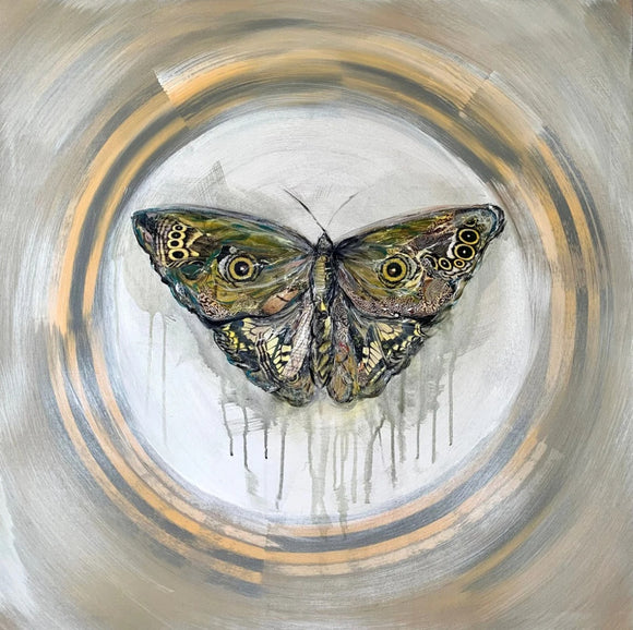 Painted Lady