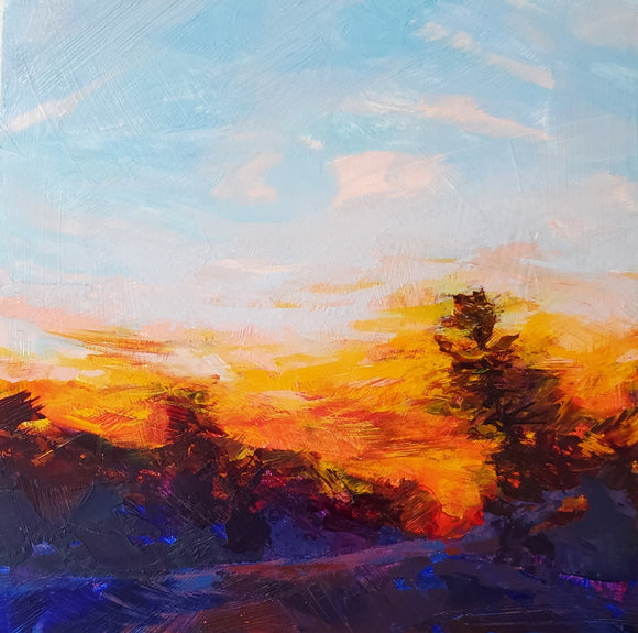 Sunset Over the 169 Road