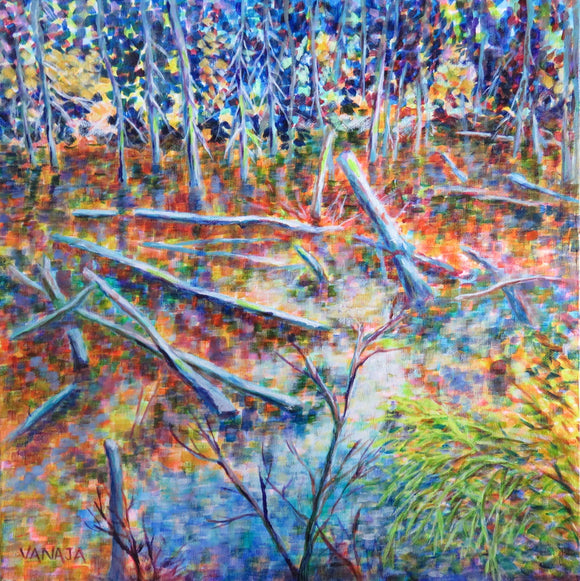 Treasures of a Marsh