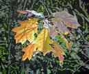 Oak Leaves--Fall Light-1