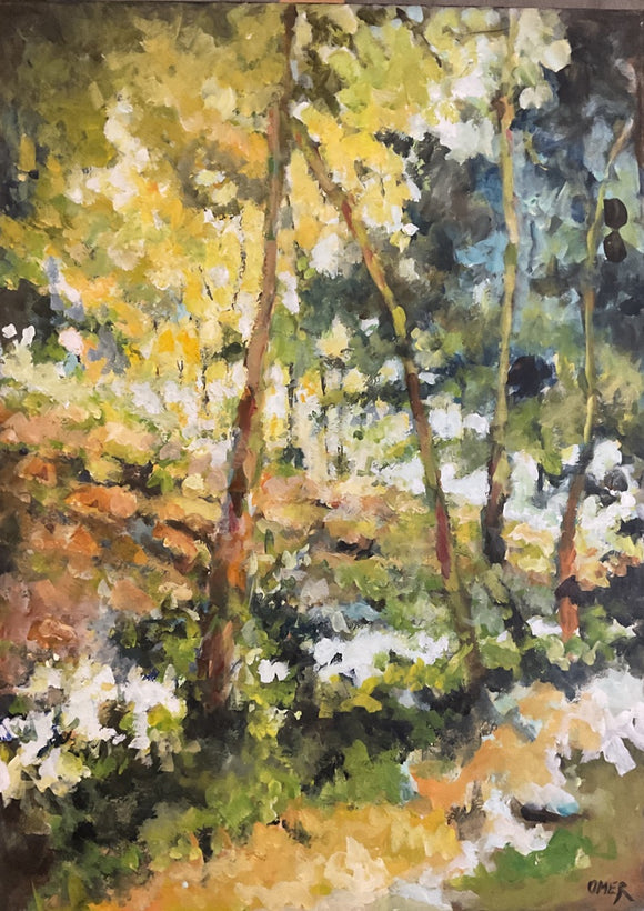 Light in the woods