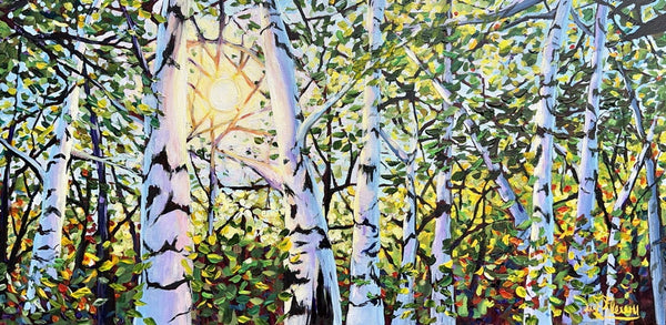 Sun-Lit Birches