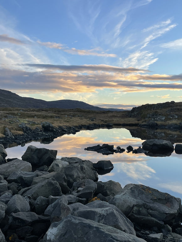 Reflect
