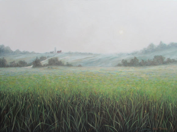Misty Morning