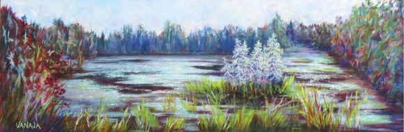 Shimmering Summer Waters
