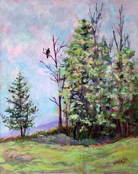 Raven's Lookout (Plein Air)