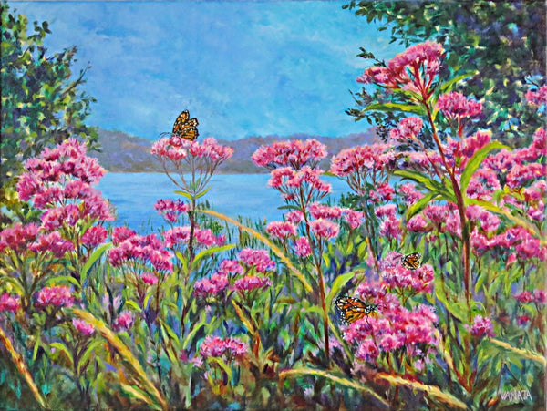 Butterflies and Wild Pink Flowers