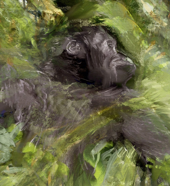 Baby Gorilla in the Mist