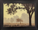 Autumn Haze-1