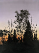 Silhouette against Twilight-1