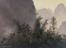 Karst & Ferns-1