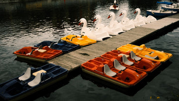 Boats Of Varying Anthropomorphic Assortments