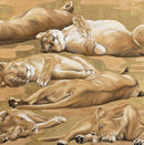 A Golden Dream-1