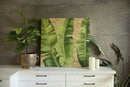 Botanica I-2