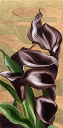 Venus in Noir-1