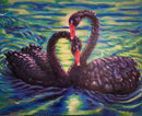 Swans Embrace-1