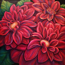 Red Dahlias-1