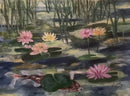 The Pond-1